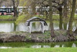 Wiosenny Park Miejski zwany Zamkowym w Wodzisławiu. W tle słynny Pałac Dietrichsteinów i młoda para złapana w naszym obiektywie WIDEO