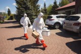 Najnowsza prognoza zakażeń koronawirusem w Polsce firmy Exmetrix: ponad 15 tys. Szczyt pandemii już za nami? Dane na 7 maja 