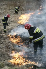 Biała Podlaska: Trójka nastolatków podpaliła łąkę