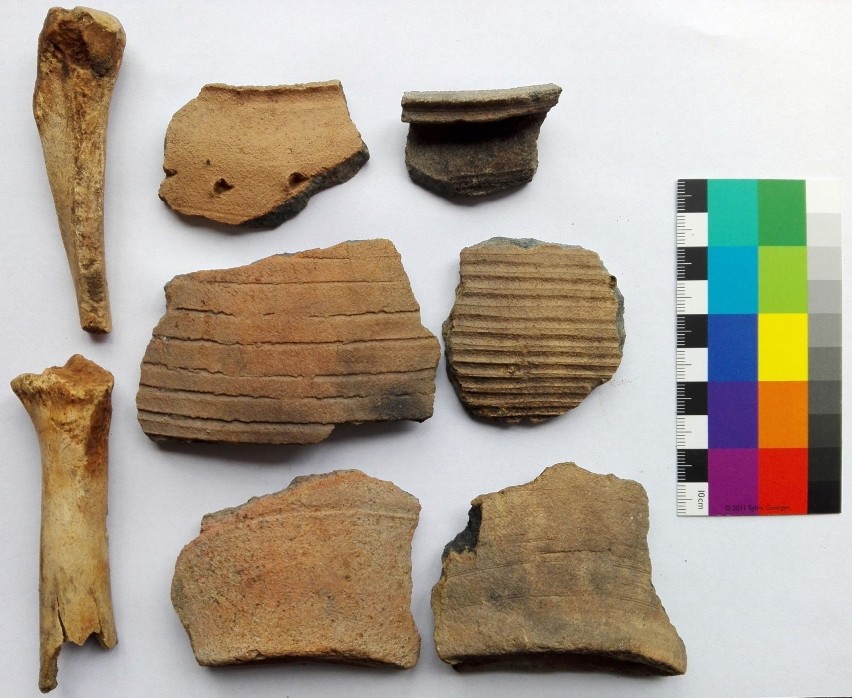 Fragmenty wczesnośredniowiecznych naczyń oraz kości...