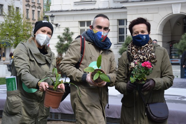 Mieszkańcy Kalisza przynieśli kwiaty na Główny Rynek i stworzyli "Zieloną nieskończoność"