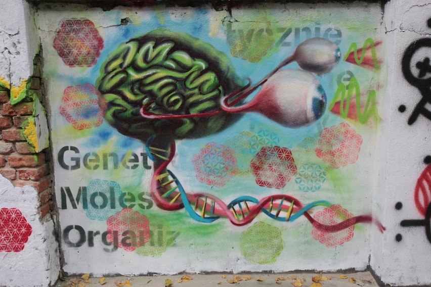 Mural przeciwko Genetycznie Modyfikowanym Organizmom w...