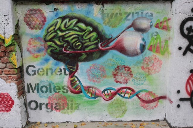 Mural przeciwko Genetycznie Modyfikowanym Organizmom w Centrum Off Piotrkowska
