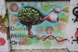 Mural w Off Piotrkowska przeciwko GMO [ZDJĘCIA]