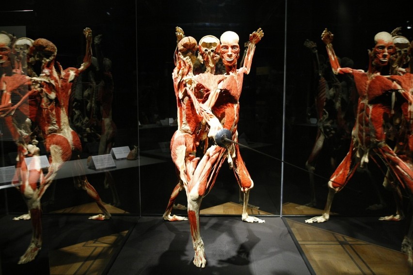 Kontrowersyjna wystawa powraca do Warszawy. Będzie można zobaczyć prawdziwe ludzkie ciała