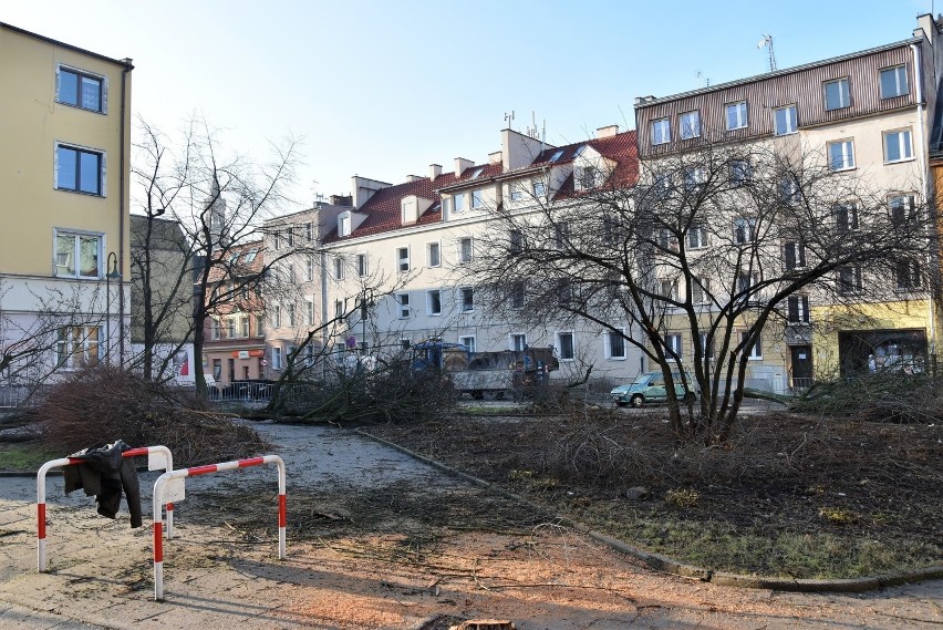 Wycinka na pl. św. Sebastiana w Opolu