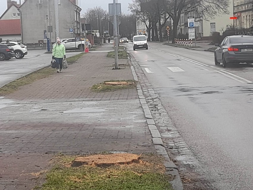 Z ul. Jedności Narodowej zniknęło już 11 drzew