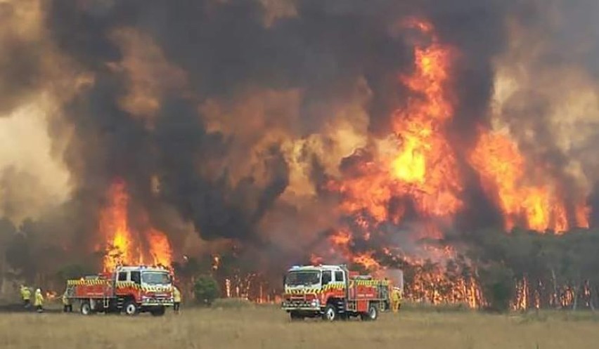 Pleszewscy strażacy polecą walczyć z pożarami w Australii? Znamy oficjalne stanowisko Państwowej Straży Pożarnej i rządu