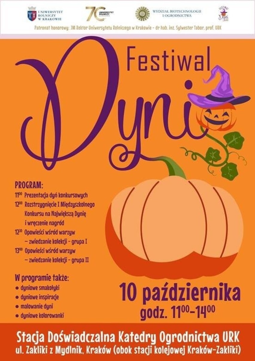Pierwszy uniwersytecki Festiwal Dyni. Uczelnia zaprasza do swojej stacji doświadczalnej w Mydlnikach