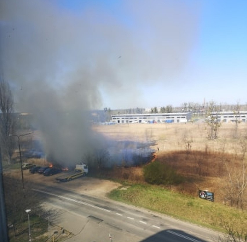 Pożar na Psim Polu, przy skrzyżowaniu ulicy Kiełczowskiej i...