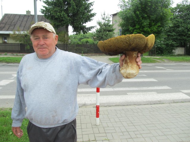 Pan Jerzy znalazł grzyba giganta.