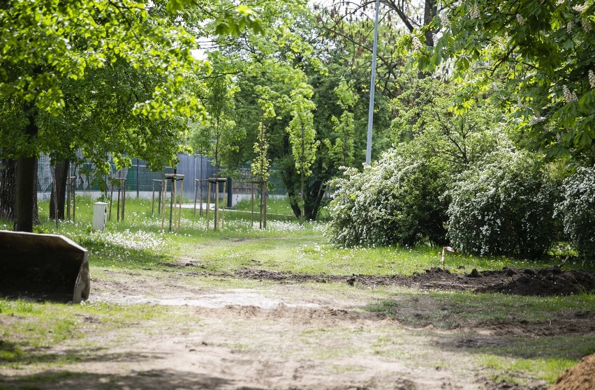 Więcej zieleni, plac zabaw dla dzieci, odnowiony XIX-wieczny młyn. Park Michałowski przechodzi gruntowną modernizację