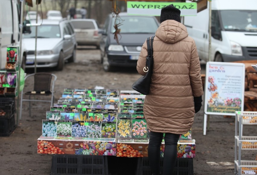 28 lutego na straganach królowały sadzonki kwiatów oraz...