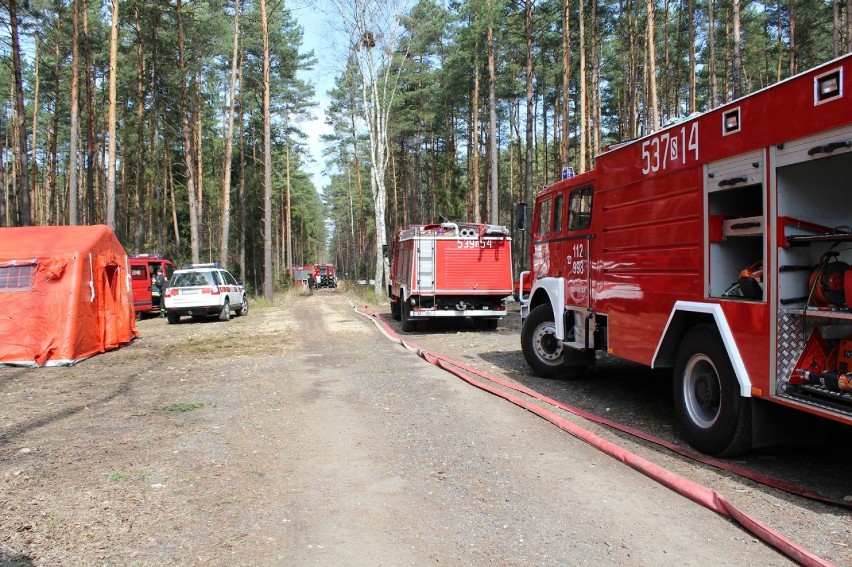 Strażacy z naszych jednostek odbyli ćwiczenia w Cynkowie 