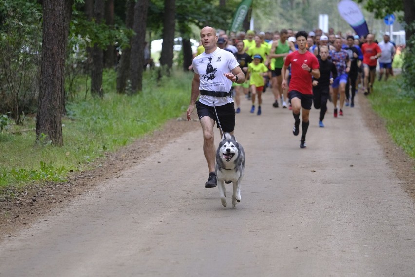 Już od ponad sześciu lat biegacze z Torunia spotykają się w...