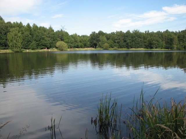 W ramach inwestycji powstaną tu m.in.: dwa pełnowymiarowe boiska do siatkówki plażowej, sezonowa strefa gastronomiczna oraz elementy małej architektury takie jak altany piknikowe, ławki i leżaki miejskie.
