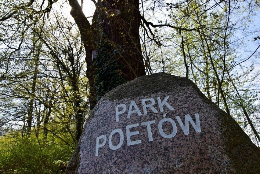 Park Poetów w Zielonej Górze.

Teren rozciąga się od ulicy...