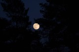 Za nami ostatnia w tym roku superpełnia. Pełnia Księżyca, która ozdobiła niebo 7 maja, nosi nazwę Kwiatowej.  