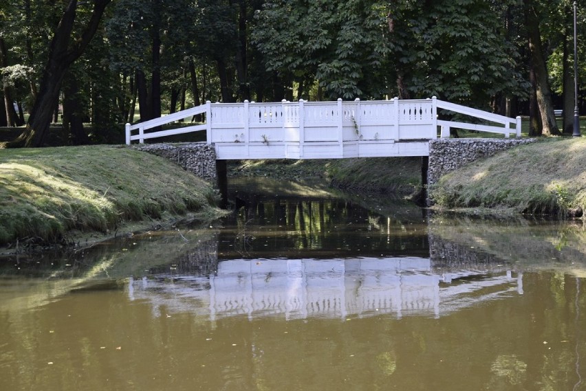 Każde miasto ma miejsca, z których mieszkańcy są dumni....