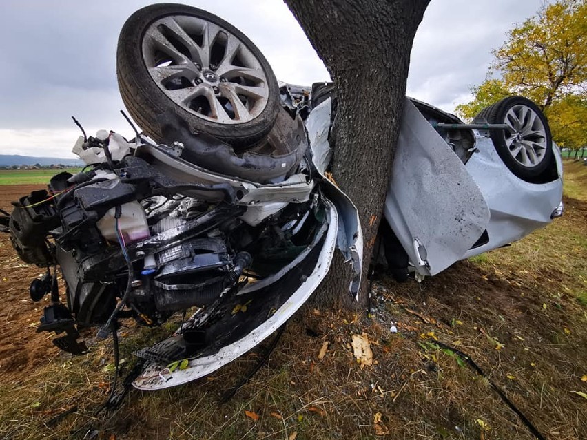 Auto owinęło się na drzewie. To niebywałe co się stało z 18-letnim kierowcą [ZDJĘCIA] 