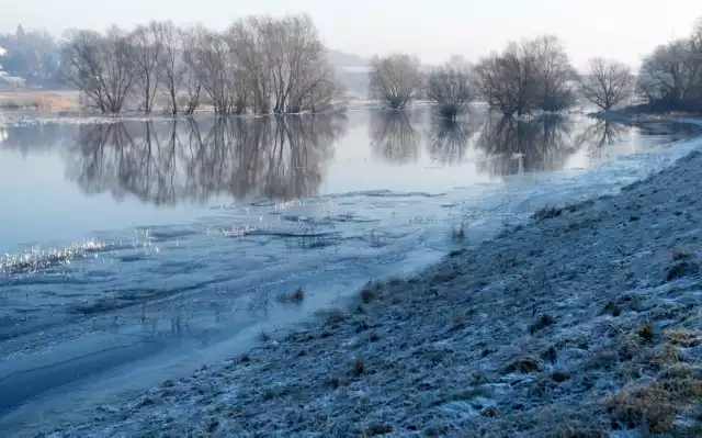 Zima nad Odrą maluje najpiękniejsze krajobrazy. Surowe piękno rodem z krainy lodu zachwycają na każdym kroku. ZOBACZ ZDJĘCIA >>>