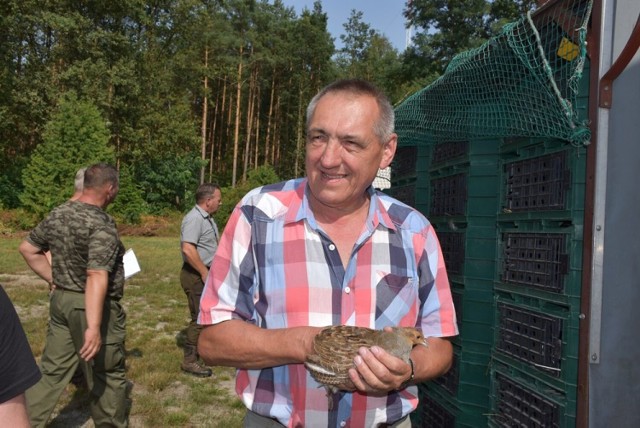 3000 kuropatw trafiło do naturalnego środowiska w powiecie kaliskim