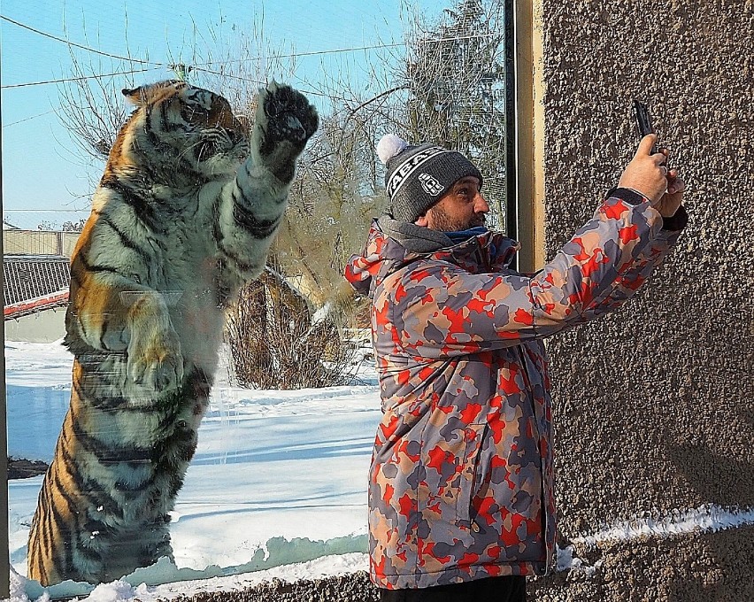 Wystawa męskich narządów miłości u zwierząt w łódzkim ZOO przyciągnęła zwiedzających ZDJĘCIA