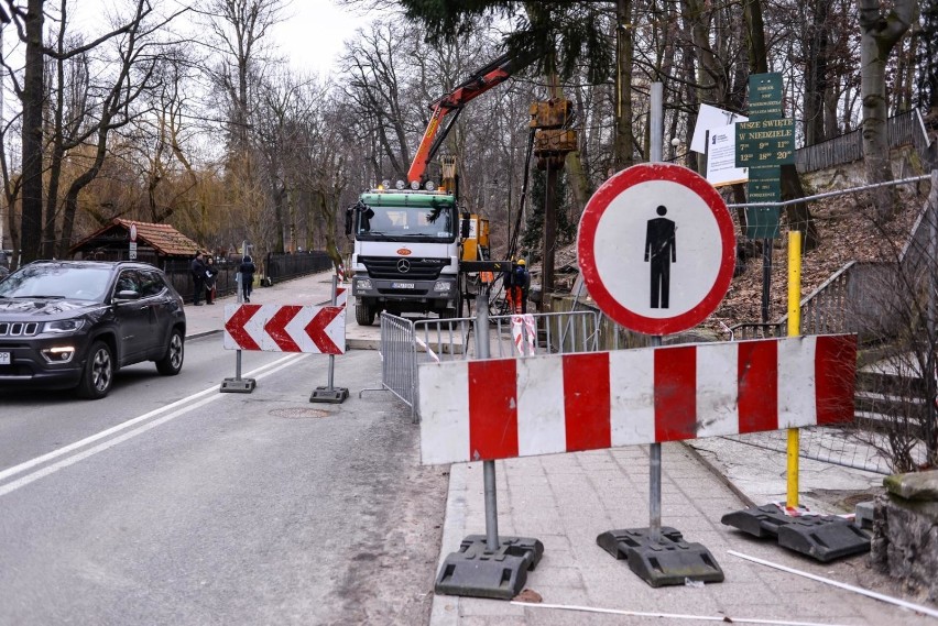 W Sopocie wzdłuż ul. Sobieskiego wycinane są chore drzewa,...