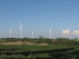 Chcą stawiać siłownie wiatrowe na terenie gminy Perzów