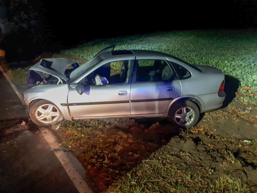 Wypadek w Krzykosach. Osobówką w drzewo, dwie osoby trafiły do szpitala [ZDJĘCIA]