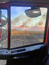 Płonęły hektary zboża w Stawie i Wicherniku. Ponownie ogień pojawił się w Strugach