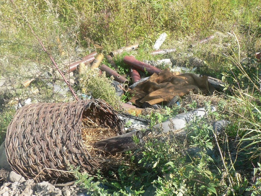 Żory: Dzikie wysypisko śmieci w lesie w Kleszczowie [ZDJĘCIA]