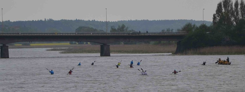 Majówka 2012 w Malborku: UTW, Elciak, zespół Ewy Szwajlik, Trabanda