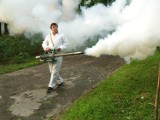 Odkomarzanie w powiecie mikołowskim. Samorządy nie są do niego przekonane