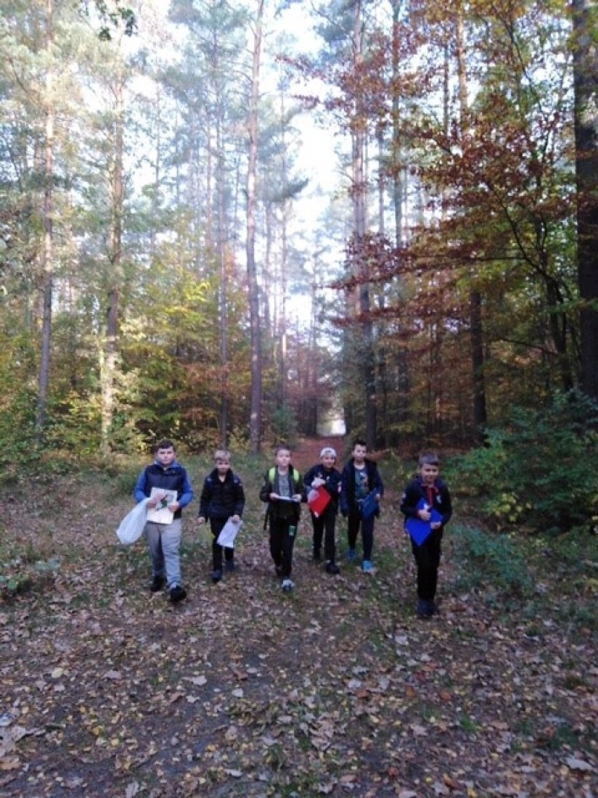 Las w Jasionnej widziany oczami trzecioklasistów z Błaszek [FOTO]