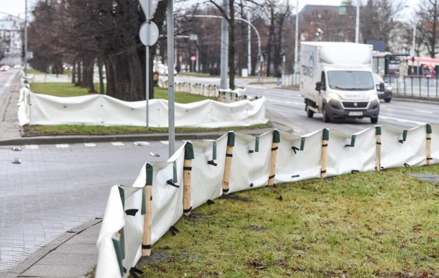 Wielka Aleja Lipowa w Gdańsku.