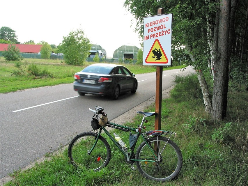 Wjazd do Krępy Słupskiej od strony Płaszewka, znak wprawdzie...