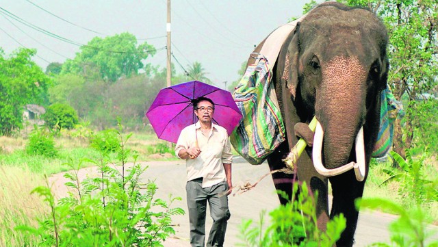 Bohater filmu „Pop Aye” - rozczarowany życiem architekt - zaprzyjaźnia się ze... słoniem