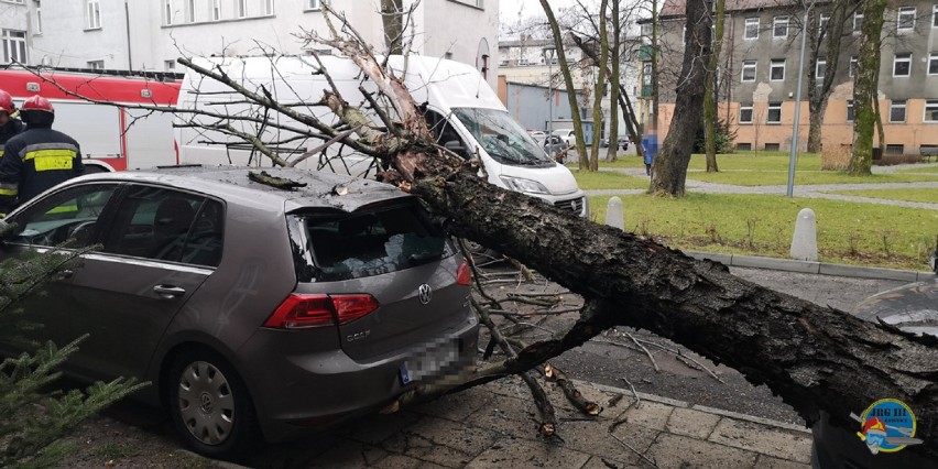 W Katowicach na ul. Raciborskiej drzewo przewróciło się na samochód.