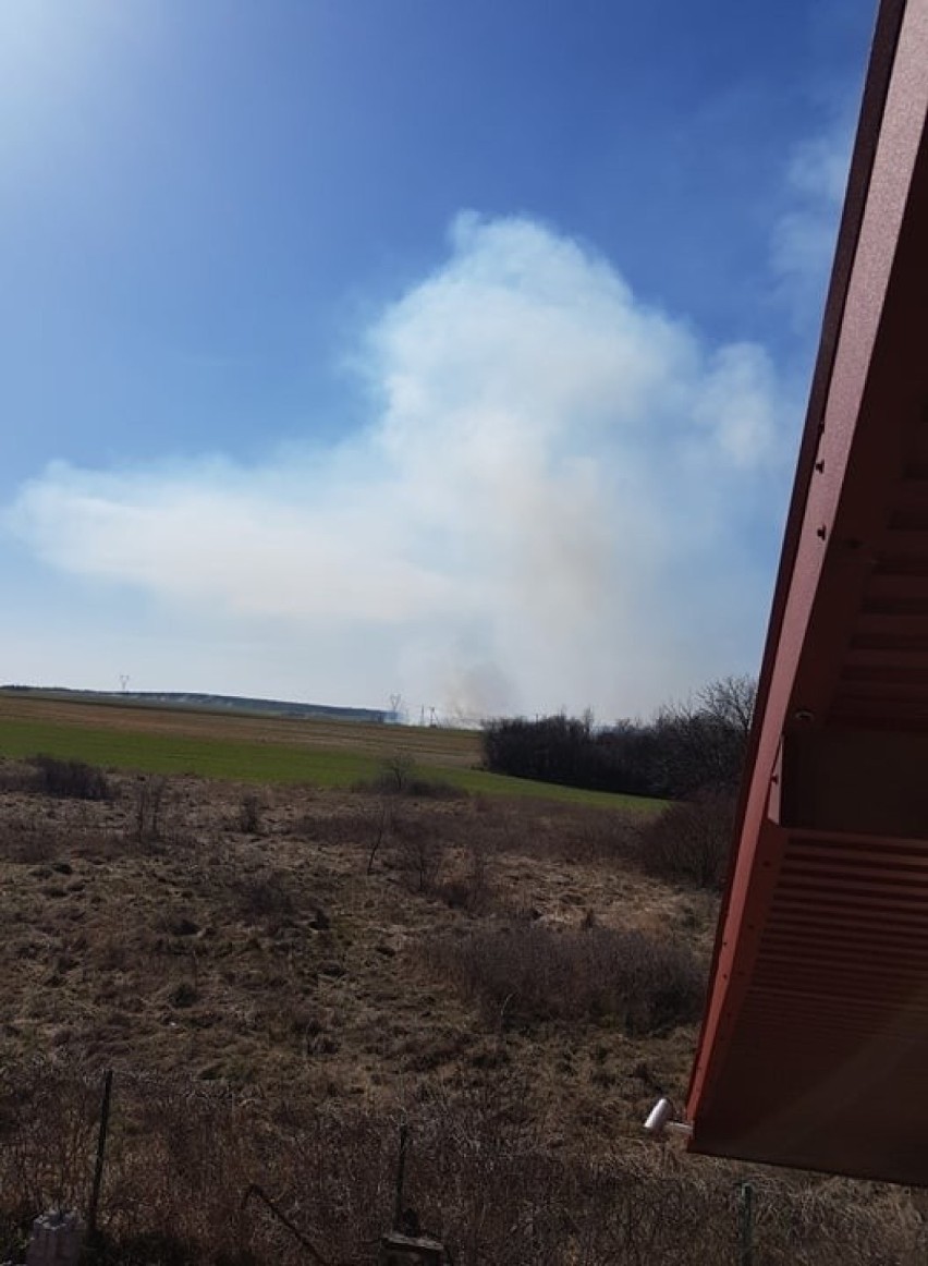 Potężny pożar traw w okolicach Chełma. Dym widać z odległości wielu kilometrów
