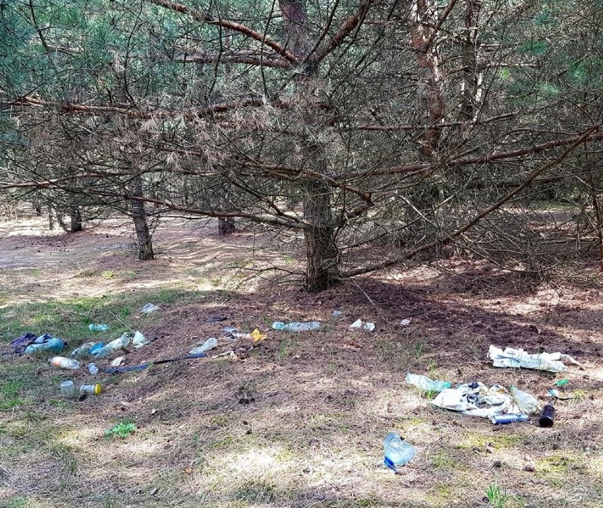Śmieci w Brodnicy można znaleźć w lasach, przy budynkach i...