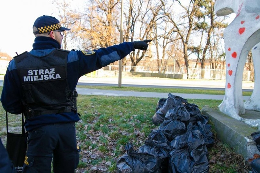 Bezdomni ze świdnickiego schroniska posprzątali miasto (ZDJĘCIA)