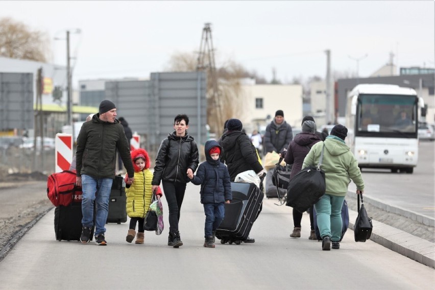 Najwięcej uchodźców znalazło schronienie w Wolsztynie,...