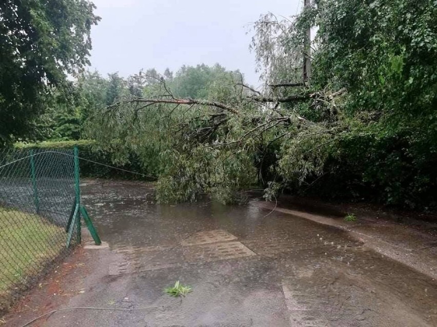 Podtopienia i zalania na Pomorzu. Strażacy usuwali skutki...