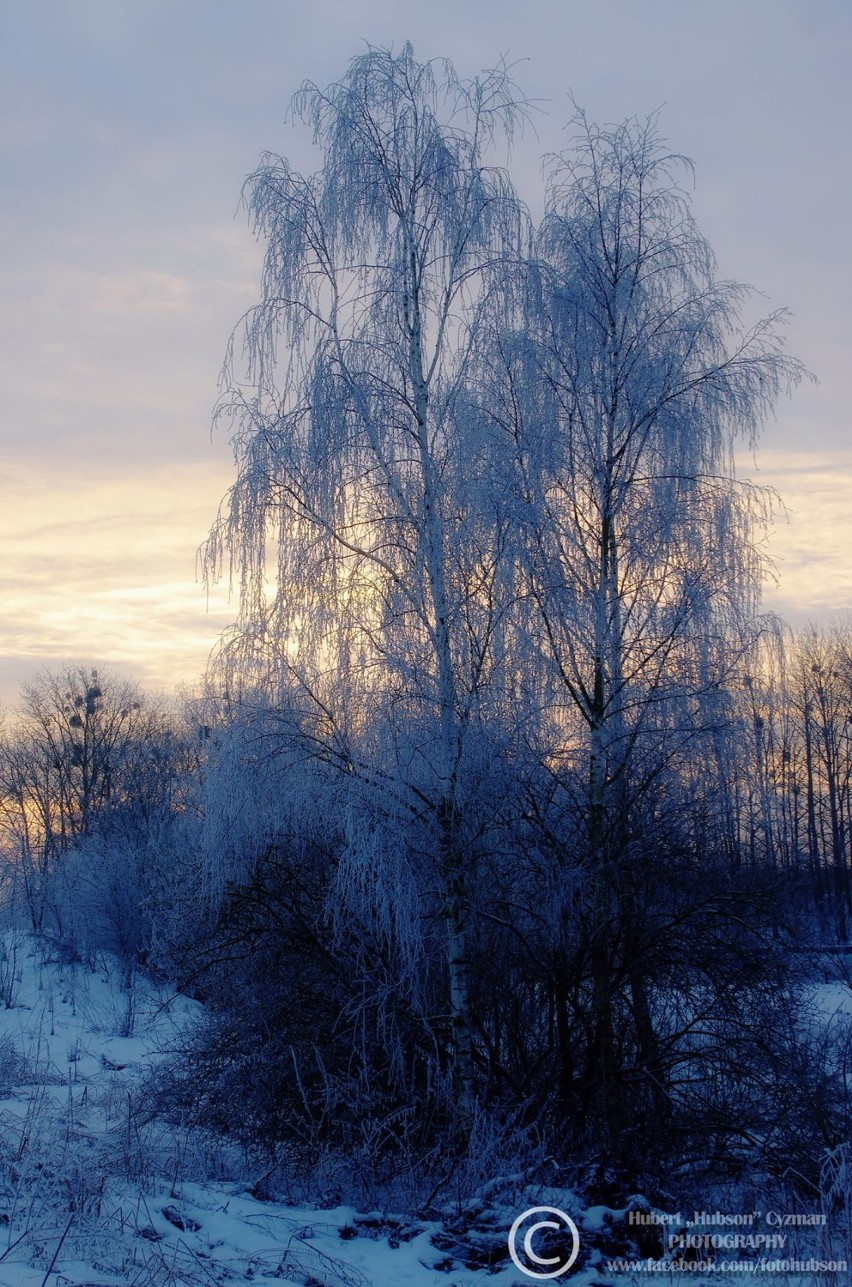 Zima w Kwidzynie na zdjęciach! Czekamy na Wasze fotografie! [ZDJĘCIA]