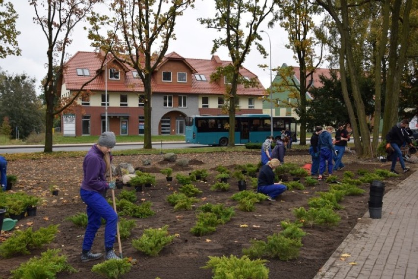 Pruszcz Gdański: "Park z gruszą" nabiera kształtów i kolorów [ZDJĘCIA]
