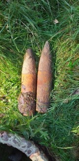 Cztery pociski artyleryjskie znalezione w osuszonej studni w środku lasu pomiędzy miejscowościami Olimpiów i Radonia (FOTO)