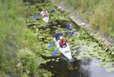 Rodzinne pływania kajakami po kanale Obry w Kościanie [ZDJĘCIA]