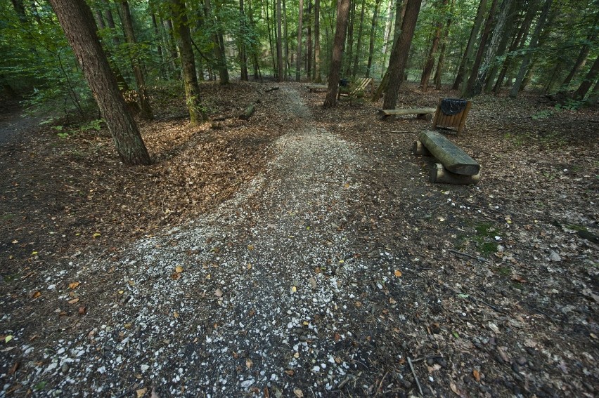 Single track powstał w ramach Koszalińskiego Budżetu...