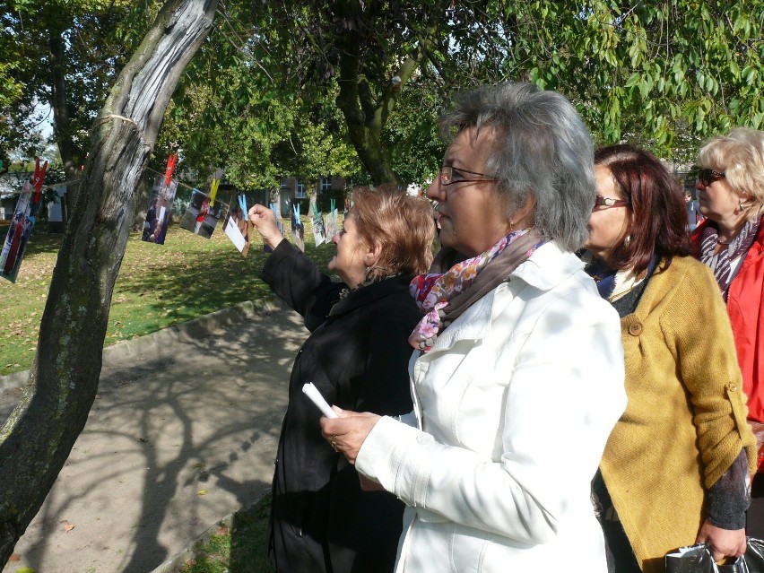 Tczew: w Parku Kopernika świętowali seniorzy - Zobacz ZDJĘCIA